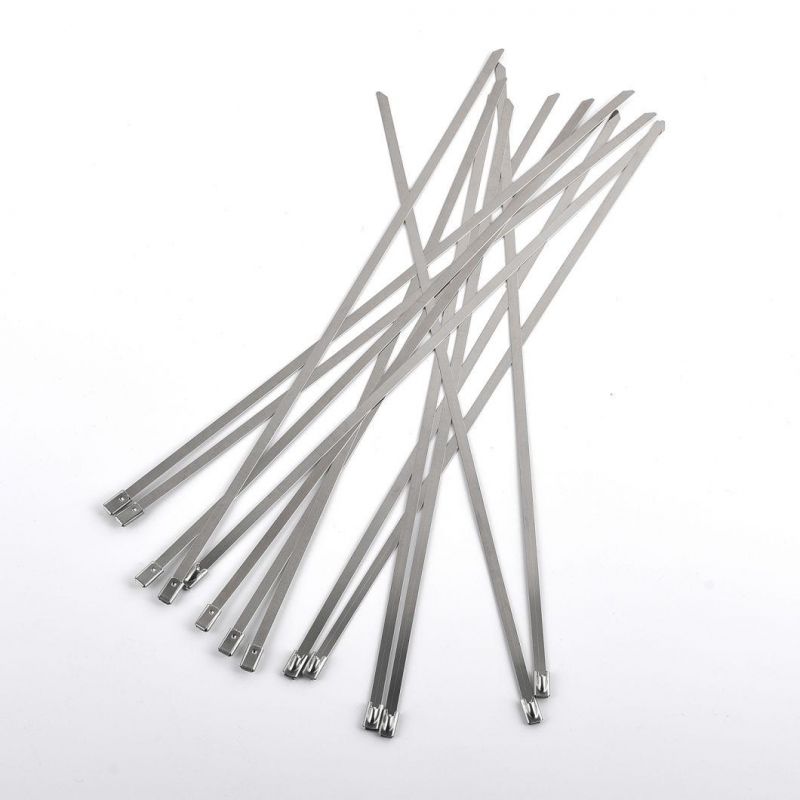 316 Stainless Cable Ties