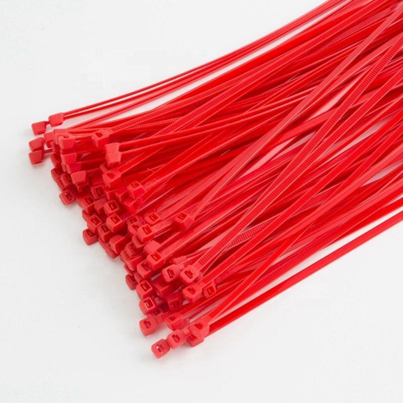 Self-Locking Type and Nylon Material Plastic Cable Tie