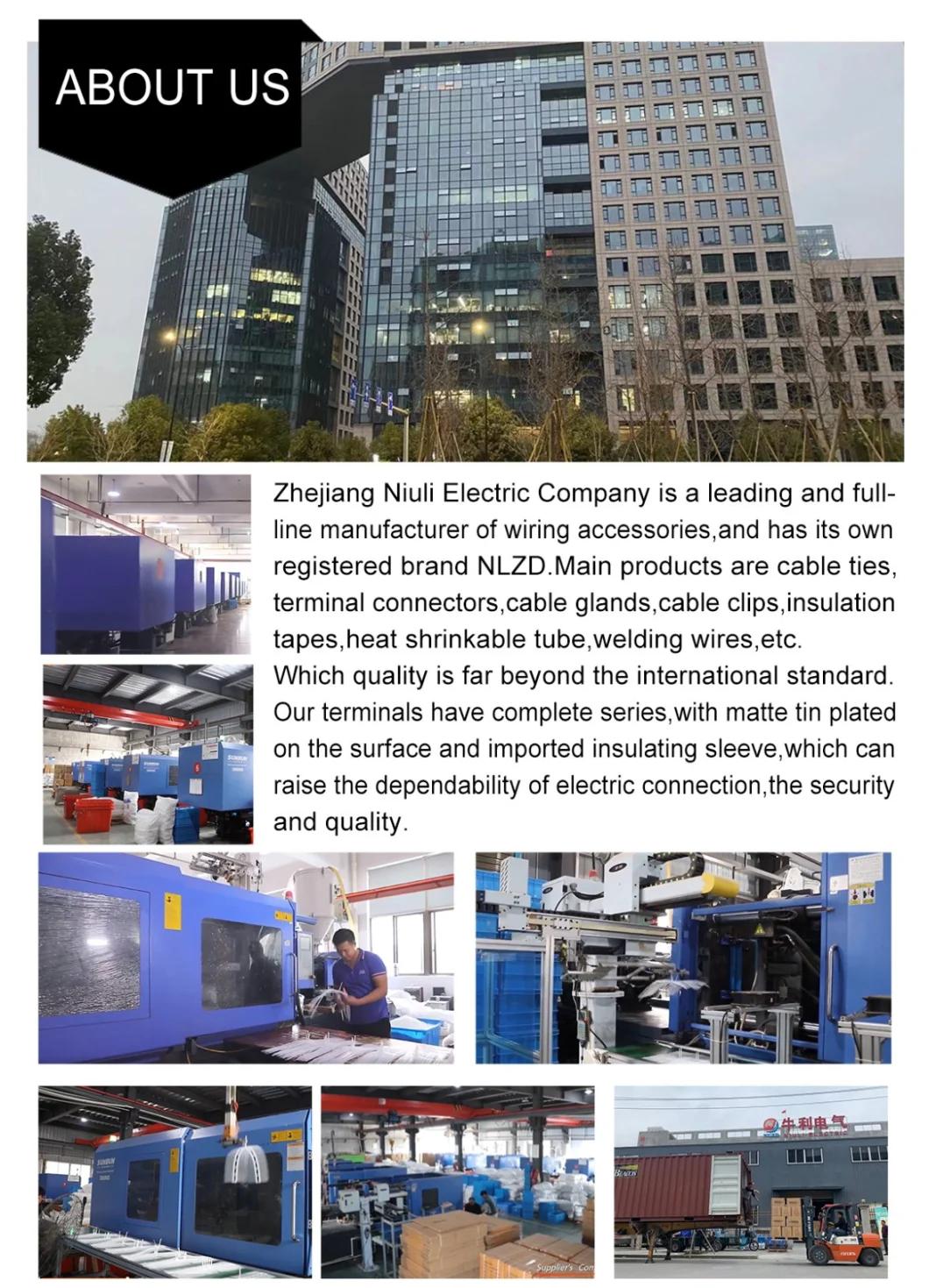 CE Approved Nylon Ties Stainless Steel Buckle Cable Factory Zip Tie with Cheap Price