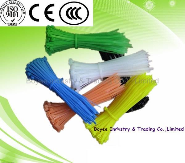 High Breaking Force Self- Locking Nylon66 Cable Ties
