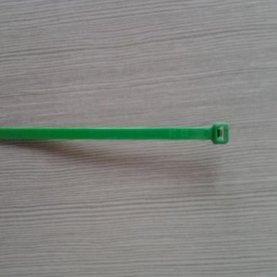 Green Color Nylon Cable Ties 4*200