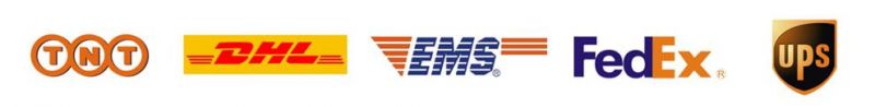 Zgs SGS RoHS Wholesale China Customized Zip Cable Ties
