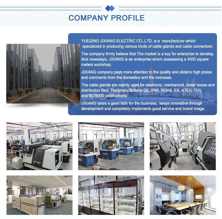 Stainless Steel Explosion Proof Cable Gland Manufacturer Supply Stainless Steel Cable Glands Metal Cable Glands