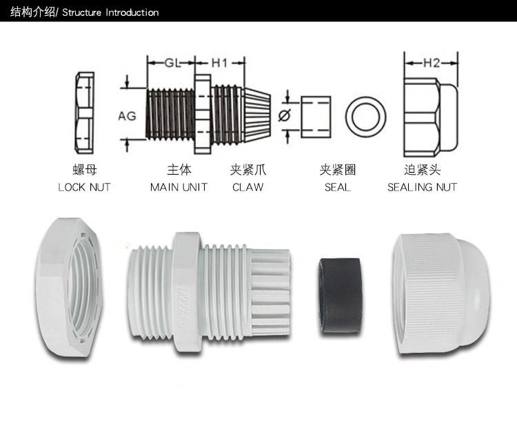 Pg Seies Nylon Cable Gland IP68