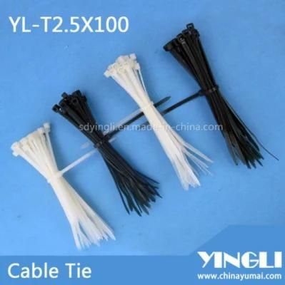 Colorful Nylon Cable Tie with RoHS