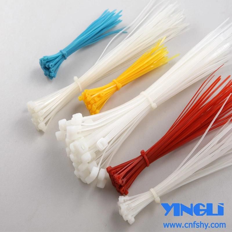 Colorful Nylon Cable Tie with RoHS