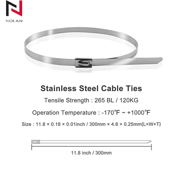 Heavy Duty SS304 316 Reusable Coated Polyester Nylon11 Metal Ss Stainless Steel Ball Lock Cable Zip Ties