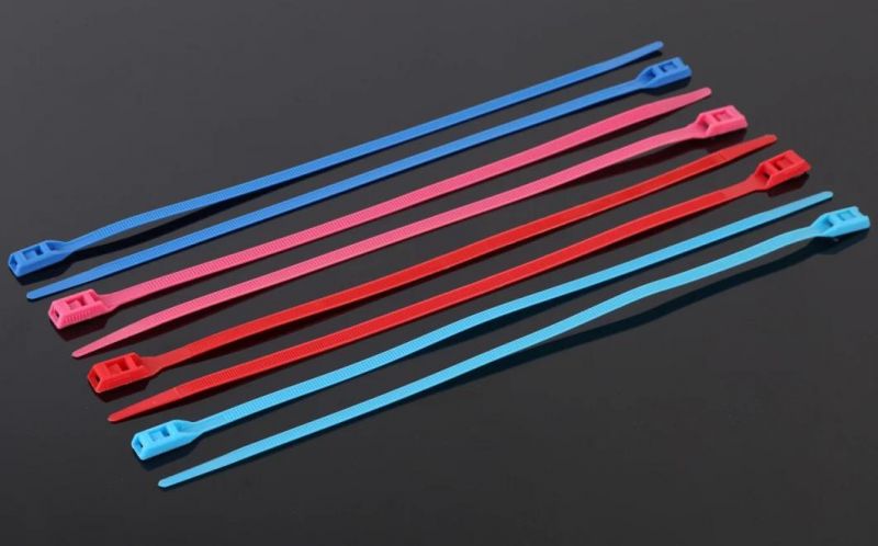 Cable Tie Tag with Great Quality and Self Locking Head in Competitive Price