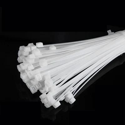 Manufacturer 2.5X100mm Plastic Ties Self-Locking Cable Ties