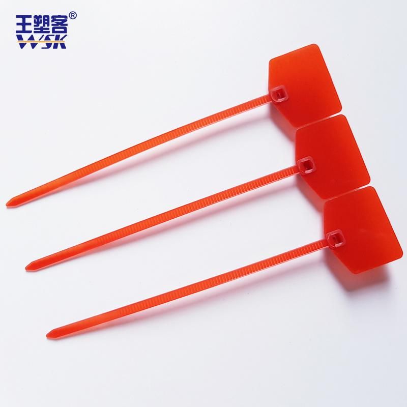 120mm 160mm Plastic Zip Ties with Tags for Shoes