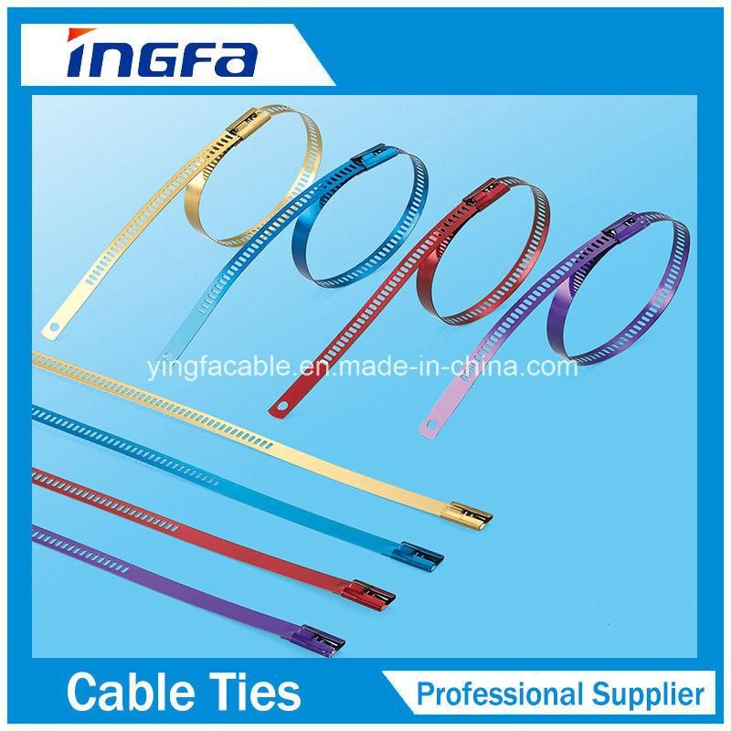 316 Stainless Steel Cable Tie Ladder Universal Clamping Tie