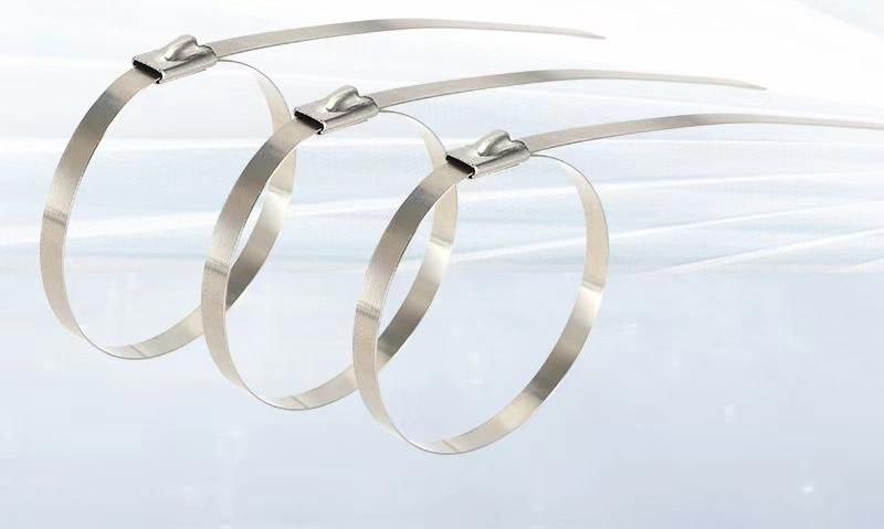 2022 Popular Ss Cable Ties Professional Manufacture Stainless Cable Tie 7.6X500