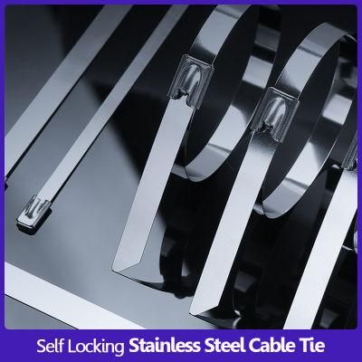 Direct Factory 4.6*300mm Stainless Steel 304/316 Cable Tie Self Ball Locking Metal Cable Tie Buckle Type Wire Harness Cable Tie