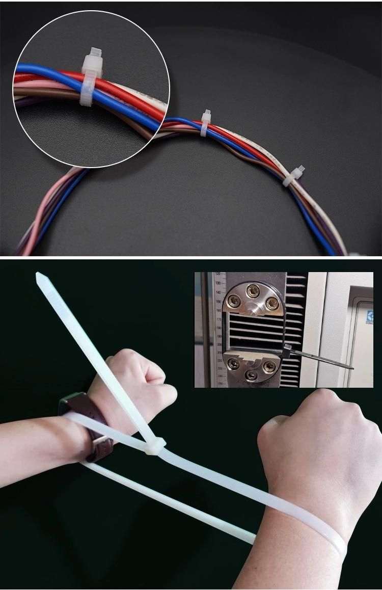 High Quality Black Natural Red Yellow Green Nylon Cable Ties with UL CE RoHS