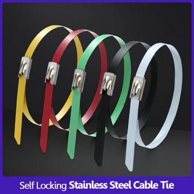 Customized Metal Cable Tie Harness Binding Belt Epoxy Coated Self Locking Color Plastic Sprayed 304 316 Ball Lock Stainless Steel Cable Tie