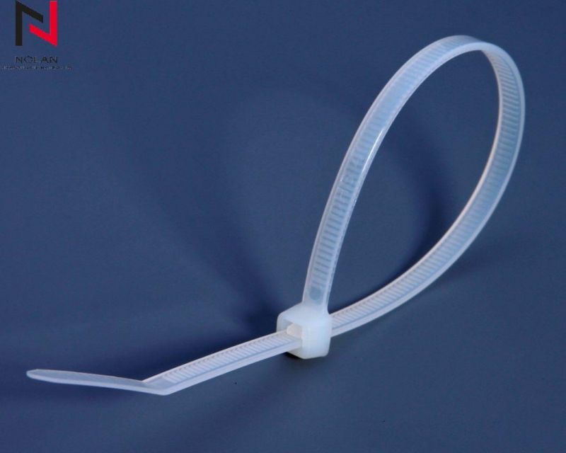 Factory Direct Sale 5*450mm Length High Quality Nylon Cable Tie Zip Tie Nylon 66