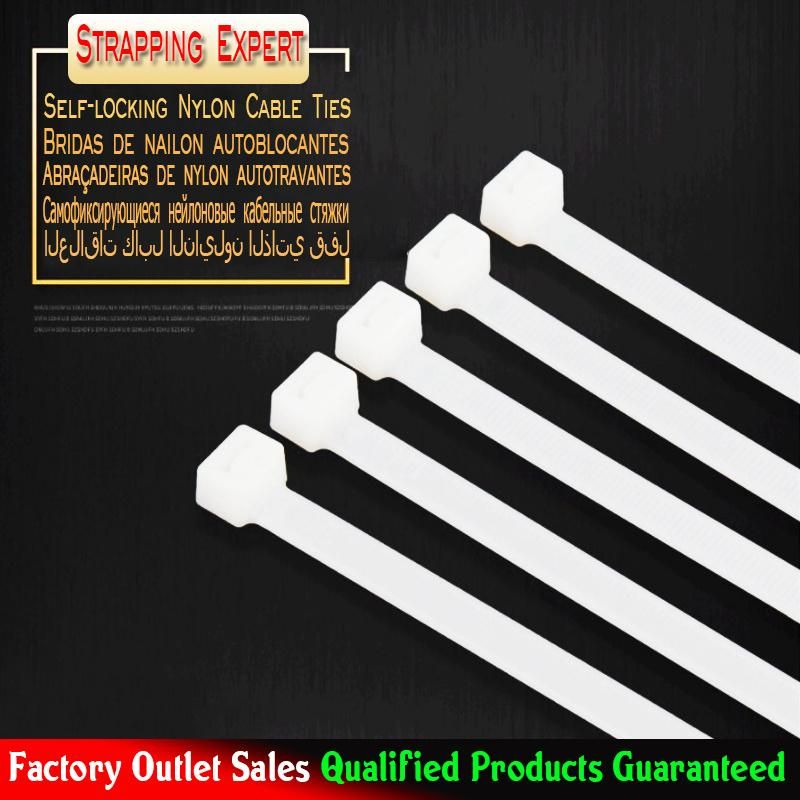 Top Quality Polybag Packing Self-Locking Nylon Cable Ties