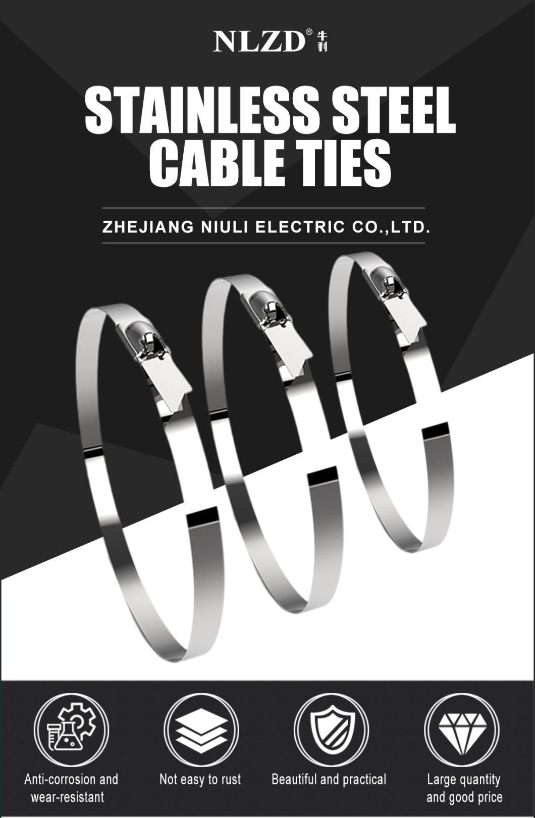 4.6X300 304 316 Metal Stainless Steel Cable Ties