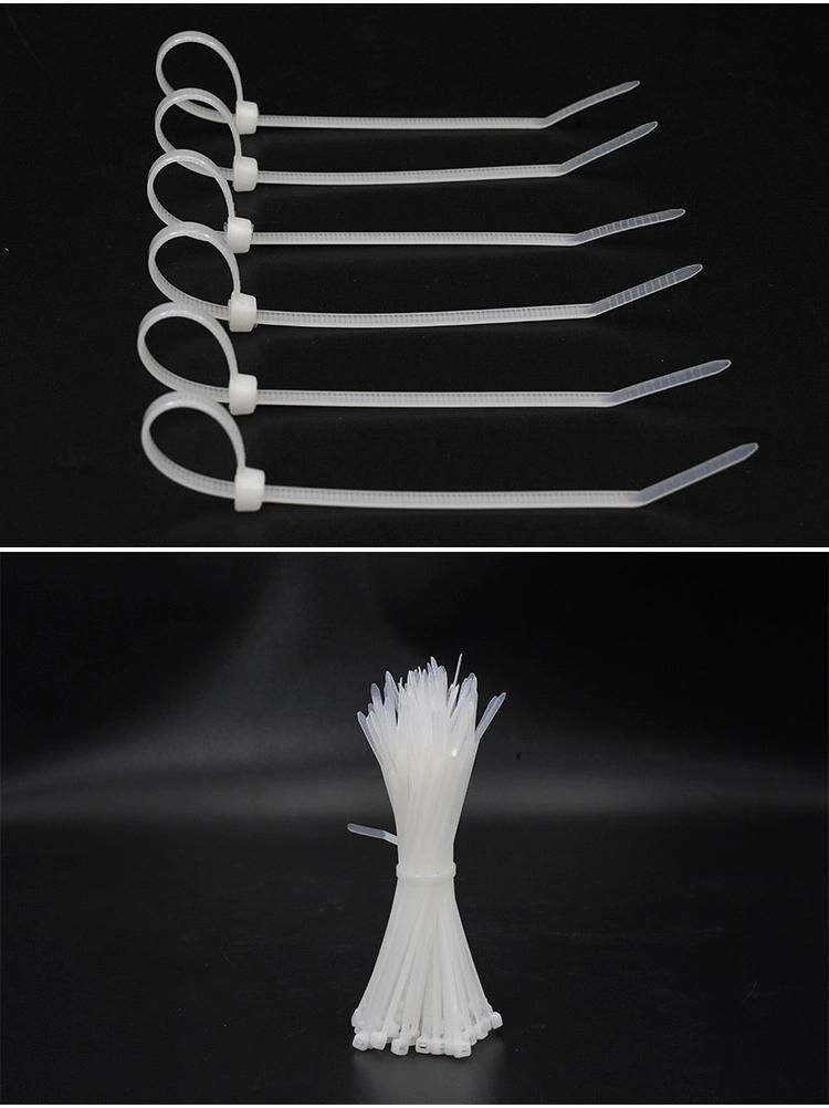 European Standard Plastic Nylon PA66 Cable Ties with UL CE RoHS