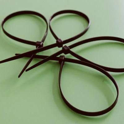 94V2 Boese 100PCS/Bag Wenzhou Nylon Kabelbinder Self-Locking Cable Tie with RoHS Cheap Price