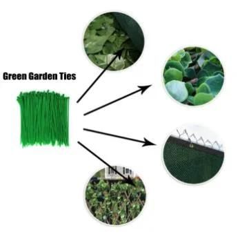 Durable and Super High Tension Green Color Nylon66 Cable Tie