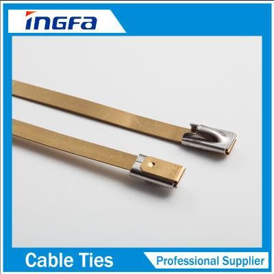 Customized Size Self-Locking Stainless Steel Epoxy Coated Ties