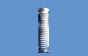 Polymer Type Outdoor Termination for 110kv