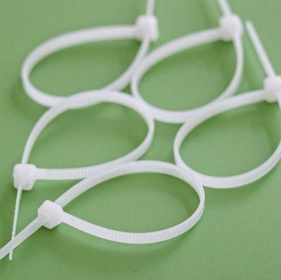 Self-Locking CE Approved Boese 100PCS/Bag Wenzhou Kabelbinder Cable Ties Plastic Tie with Low Price
