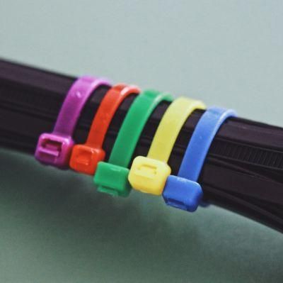 Hot Nylon66 100PCS/Bag 3.6X250mm Wire Connector Zip Lock Ties Nylon Tie with RoHS 3.6X250
