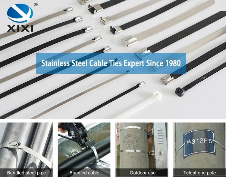Epoxy Coated Self Locking Stainless Steel Cable Tie