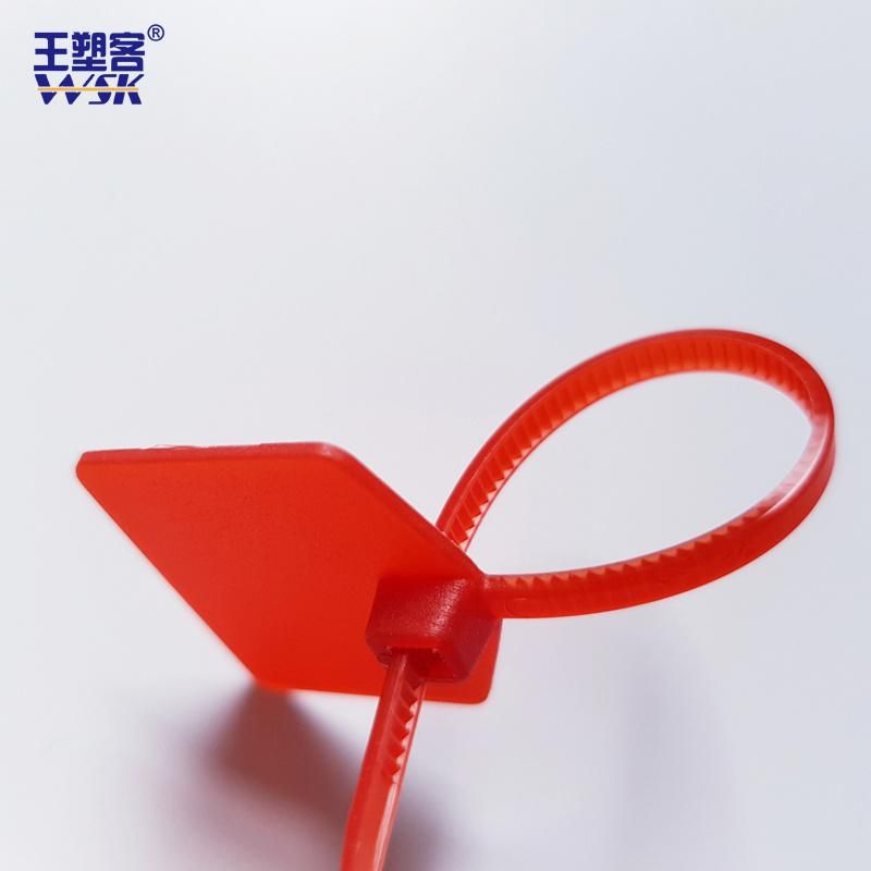 120mm 160mm Plastic Zip Ties with Tags for Shoes