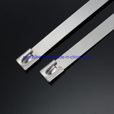 Free Sample Customized Self -Locking Ss 304 /Ss 316 Stainless Steel Cable Ties
