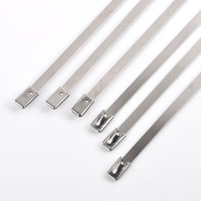 316 Stainless Cable Ties