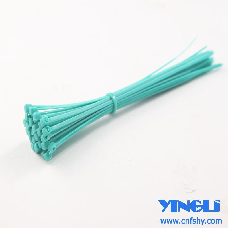 Pull Tight Nylon Cable Tie in 100% New PA