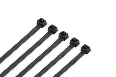 High Quality Professional Supply Nylon 66 Cable Tie with CE RoHS UL