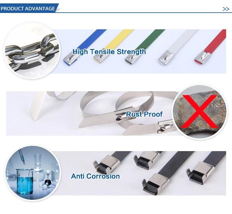 201 304 316 Ball Lock Polyester Coated Stainless Steel Cable Tie