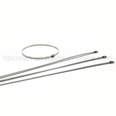 High Tensile Strength Self Locking Cable Tie&Nbsp;