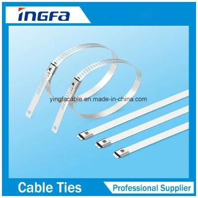 Professional Manufacturer Wholesale Stainless Steel Cable Ties