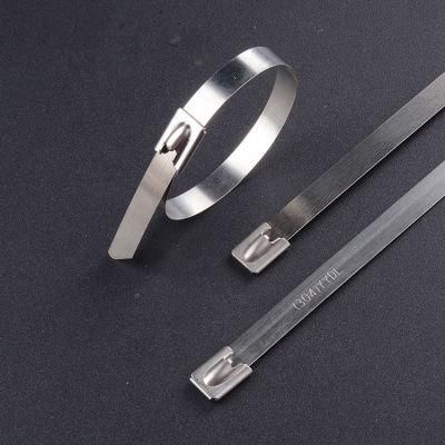 High Tensile Strength Non-Flammability Self Locking Mechanism Design Stainless Steel Cable Ties