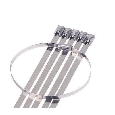SS304 316 Self-Locking Stainless Steel Cable Ties /Assorted Cable Tie