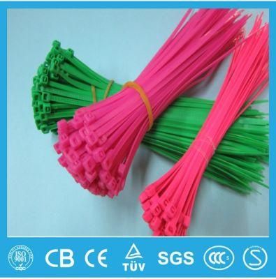 Free Sample 4&prime;&prime; 6&prime;&prime; 8&prime;&prime; 10&prime;&prime; Length Self-Locking, Releasable Plastic Cable Tie, Mountable Head Nylon 66 Plastic Cable Tie