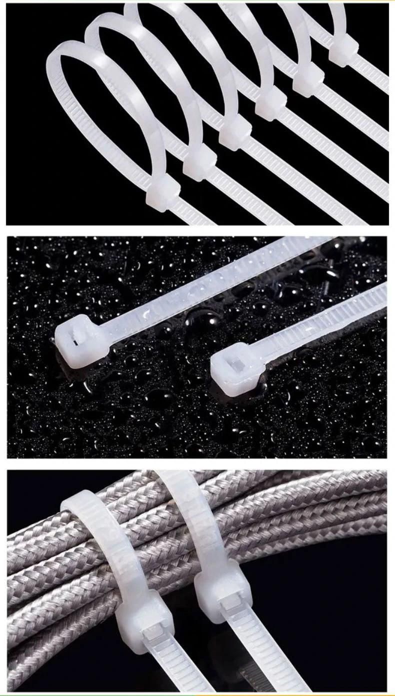 Plastic Zip Ties BLE Tiezu Attraktiven Preisen 2.5*100mm (100 PCS/bag)