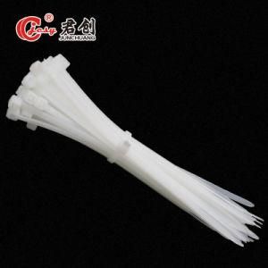 Jcct013 Tamper Proof Tear off Plastic Seals Cable Tie White 150mm*2.5
