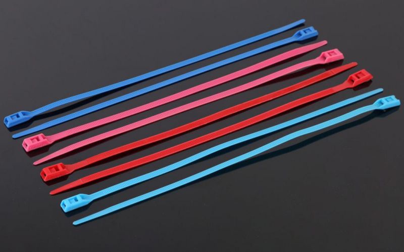 100 PCS 5 Colors Nylon Fastening Reusable Cable Marker Ties Self-Locking Cord Tags 5 Inches Write on Ethernet Label Wire Straps