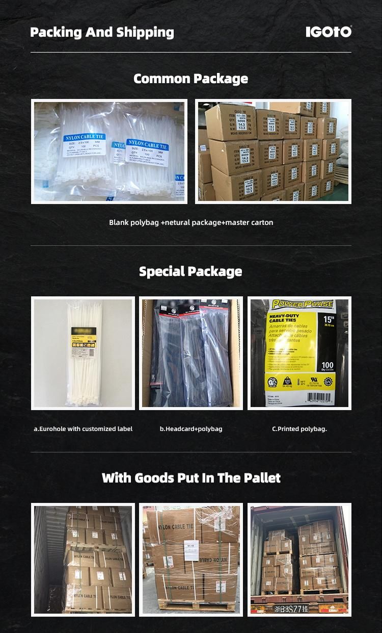 China Supplier 8inch 3.5*200mm Self Locking Nylon Cable Zip Ties with UL CE RoHS Certificates