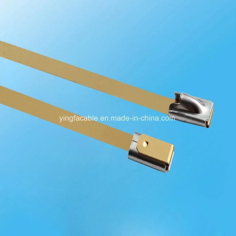 304 Grade High Tensile Stength Stainless Steel Metal Ties 300X4.6