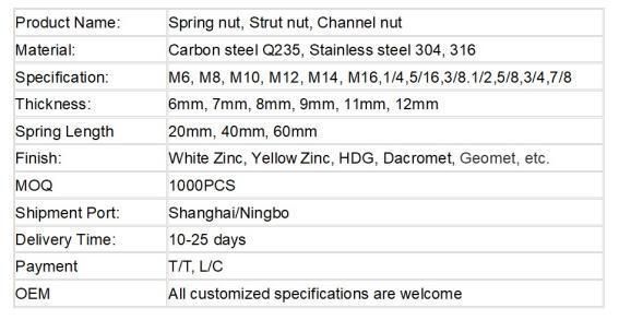 China Manufacture Hot DIP Galvanized Steel Channel Spring Nut with Low Price