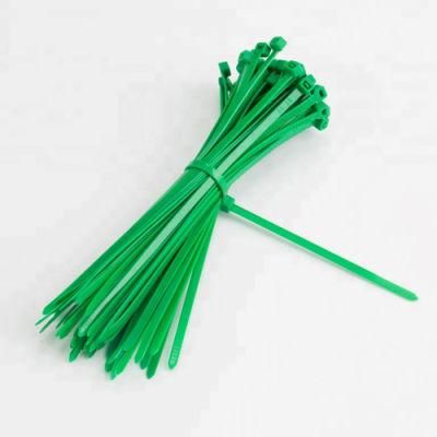 High Quality Plastic Cable Tie Self-Locking Nylon Cable Tie