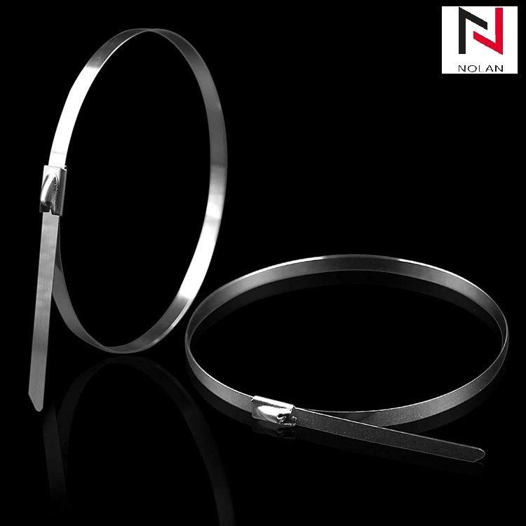 Stainless Steel Wire Keychains Cable Loops 9.8 Inches Stainless Steel Gear for Cable Tie