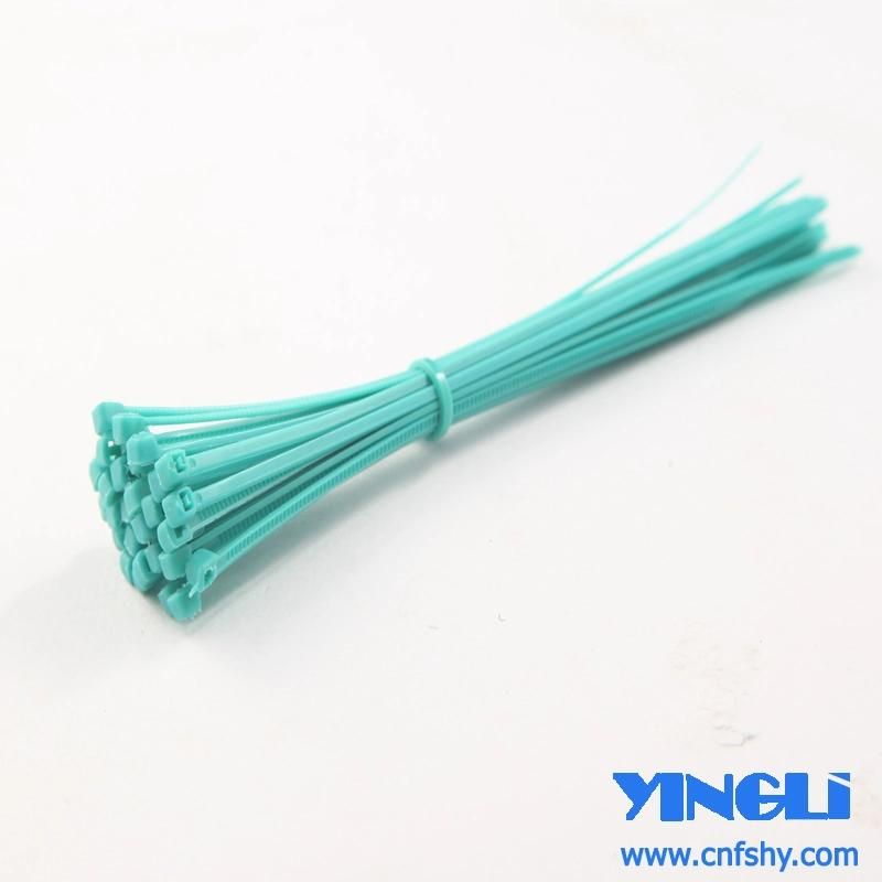 Colorful Nylon Cable Tie with RoHS